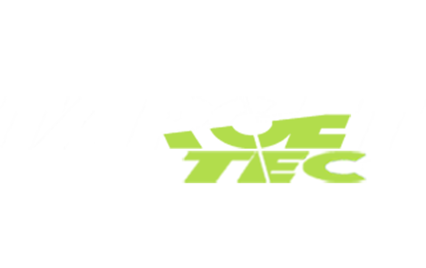 light logo